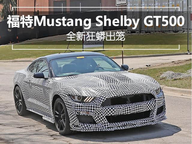 710匹的眼镜蛇 福特全新Mustang Shelby GT500