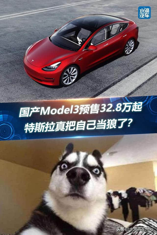 国产Model3预售32.8万起，特斯拉真把自己当狼了？