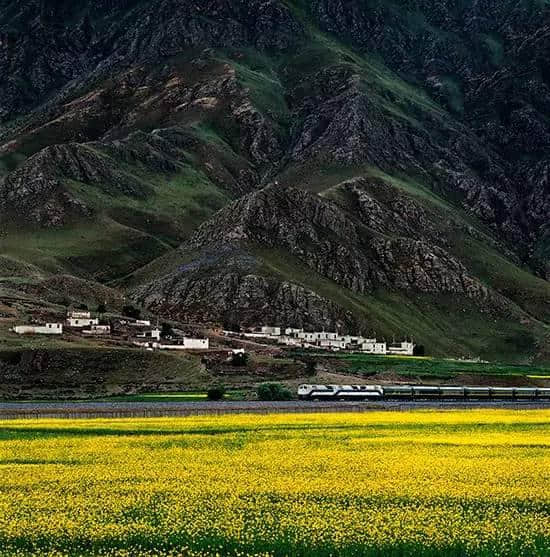 西藏自治区成立50周年|回望“天路”与那些安徽建设者