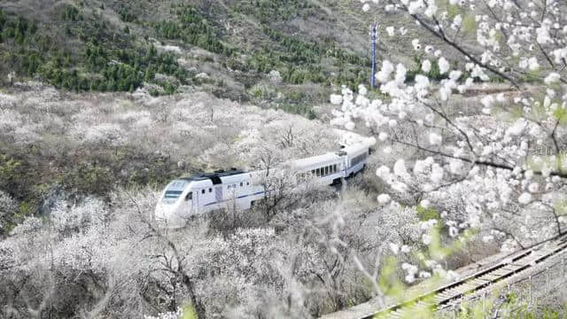 车途映画 | 赏春季花海 探访百年京张铁路 旅行试驾全新传祺GS5