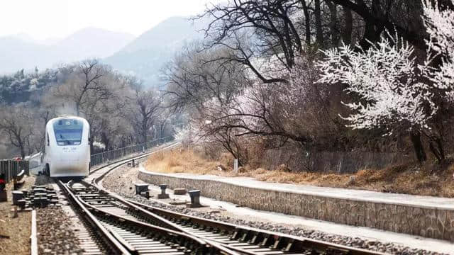 车途映画 | 赏春季花海 探访百年京张铁路 旅行试驾全新传祺GS5