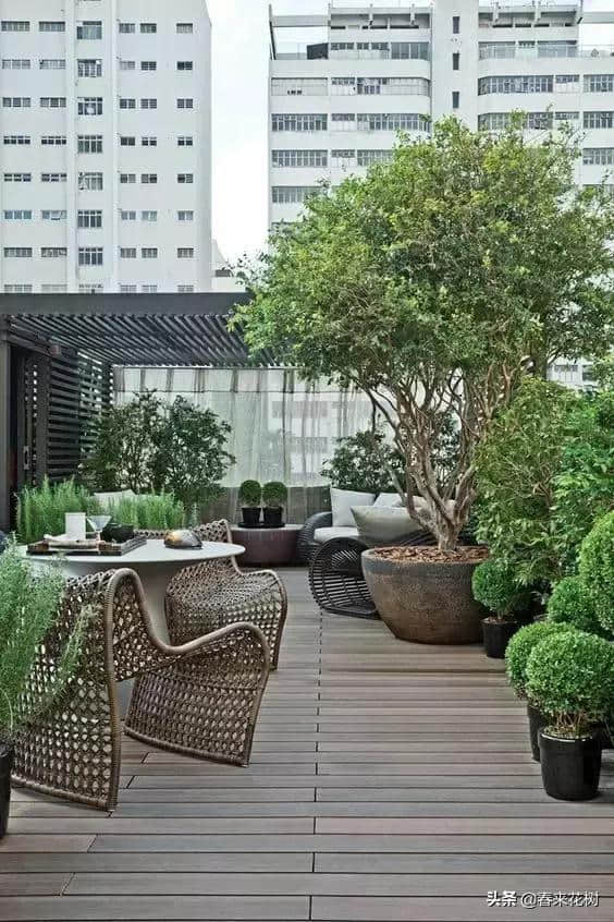 露台、天台的花园设计拥有更多想象的空间，用心打理毫不输院子
