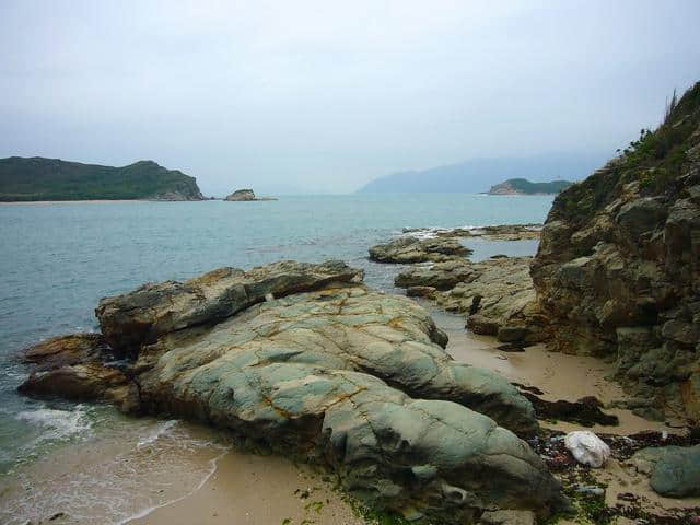 清明小假游玩好去处，漫走惠州海岛，看遍全岛漫山春花