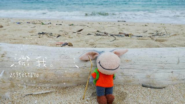 这里是广州海岛游第一选择！海水清澈海鲜肥美，还不用人挤人