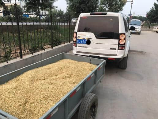 百万豪车发现4 竟然用来下地收小麦！路虎为何变成农用车？