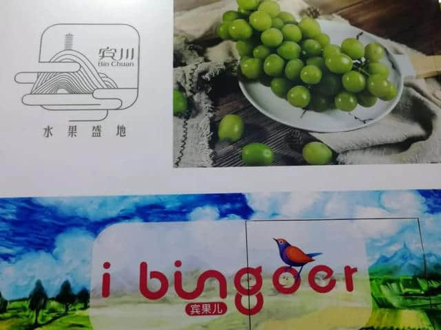 「今日宾川」大理宾川鲜食水果区域公用品牌——“宾果儿”今日在上海亚果会上正式对外发布