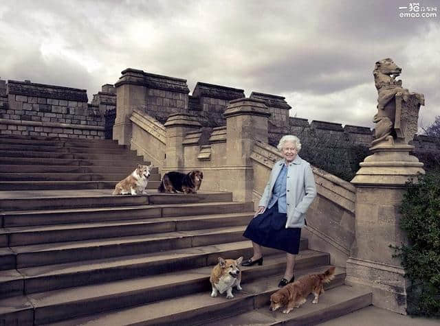 沃克斯豪尔礼赞英女王寿辰 狗狗们是亮点