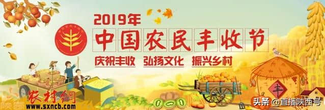 农民丰收节：9月23-24日陕西渭南“两展一节”，10大活动