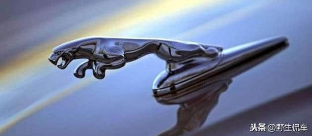 汽车发展史-捷豹-来自英国的美洲豹