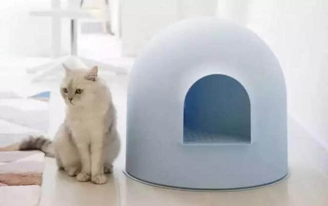宠物友好家居设计，我想要个这样的家！