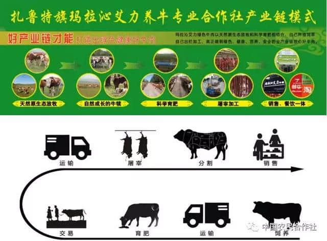 2019年全国农民合作社典型案例之一：内蒙古扎鲁特旗玛拉沁艾力养牛专业合作社